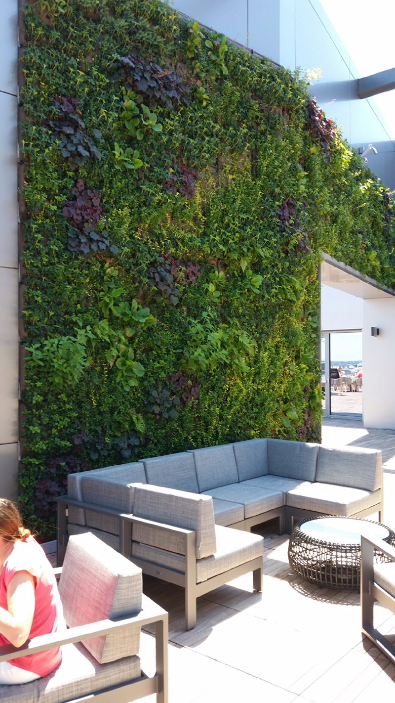 Pier 4 Rooftop Terrace preview 7